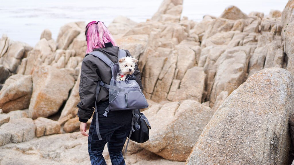 Best Luggage for Study Abroad Your Ultimate Guide for 2021